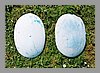 2oeufs0404.jpg